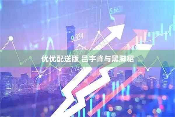 优优配送版 吕宇峰与黑脚貂