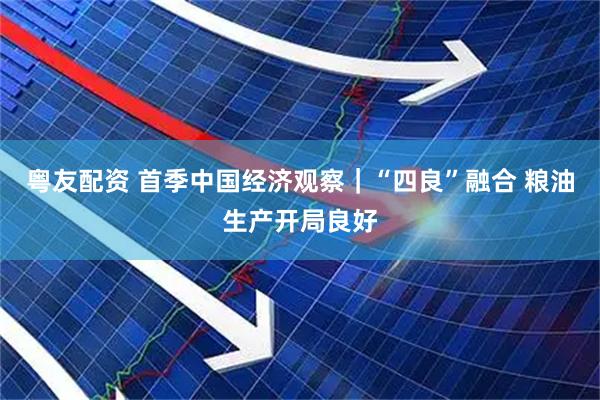 粤友配资 首季中国经济观察｜“四良”融合 粮油生产开局良好