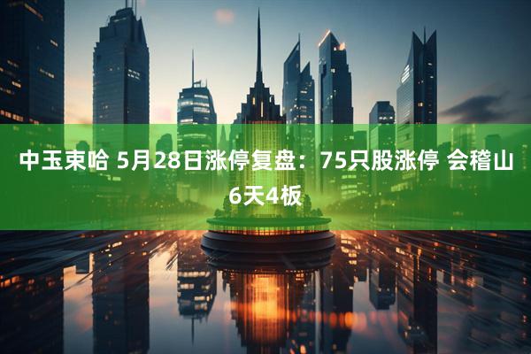 中玉束哈 5月28日涨停复盘：75只股涨停 会稽山6天4板