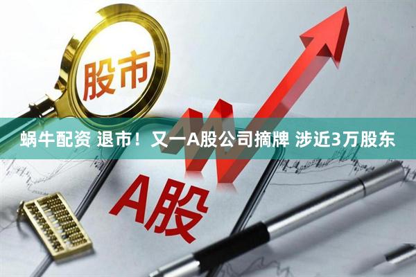 蜗牛配资 退市！又一A股公司摘牌 涉近3万股东