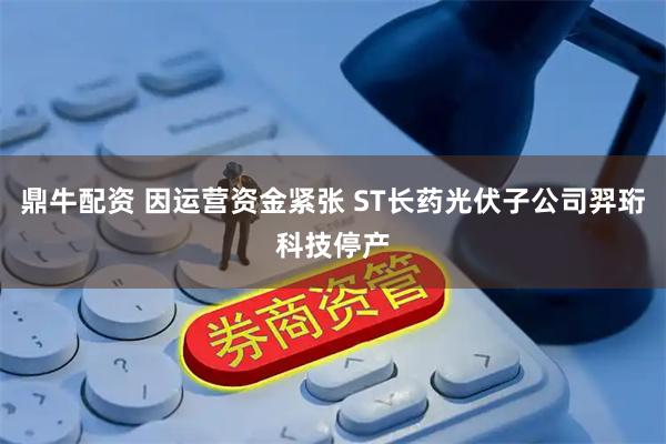 鼎牛配资 因运营资金紧张 ST长药光伏子公司羿珩科技停产