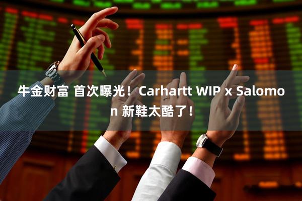 牛金财富 首次曝光！Carhartt WIP x Salomon 新鞋太酷了！